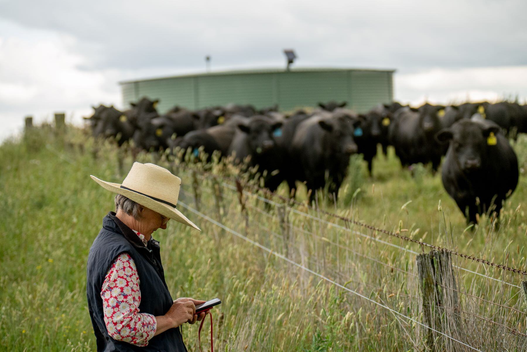 Brushes with death in the bush as digital gap persists