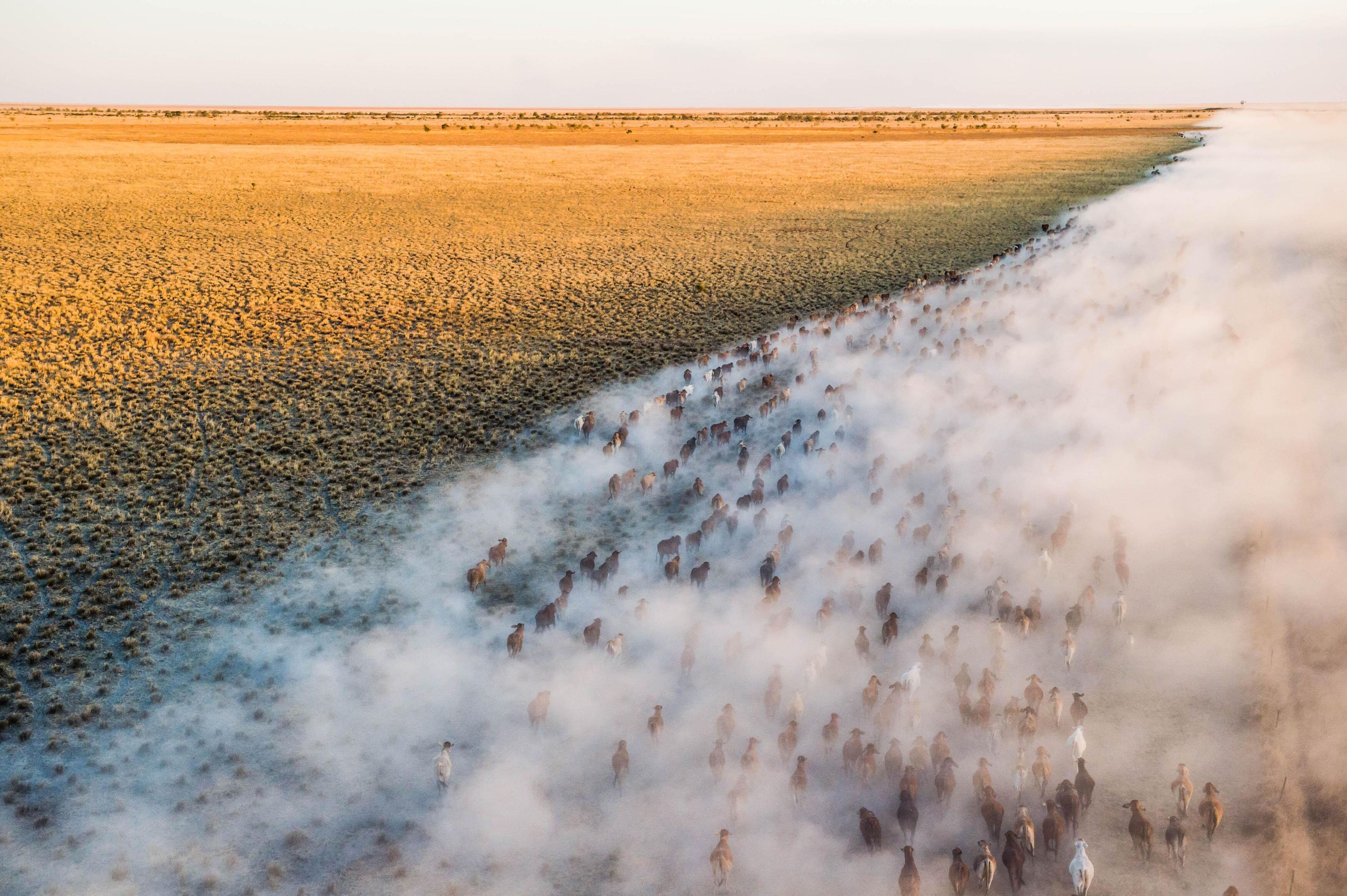 NEWS IN BRIEF: Farmers win big in Canberra, bird flu and bank closures