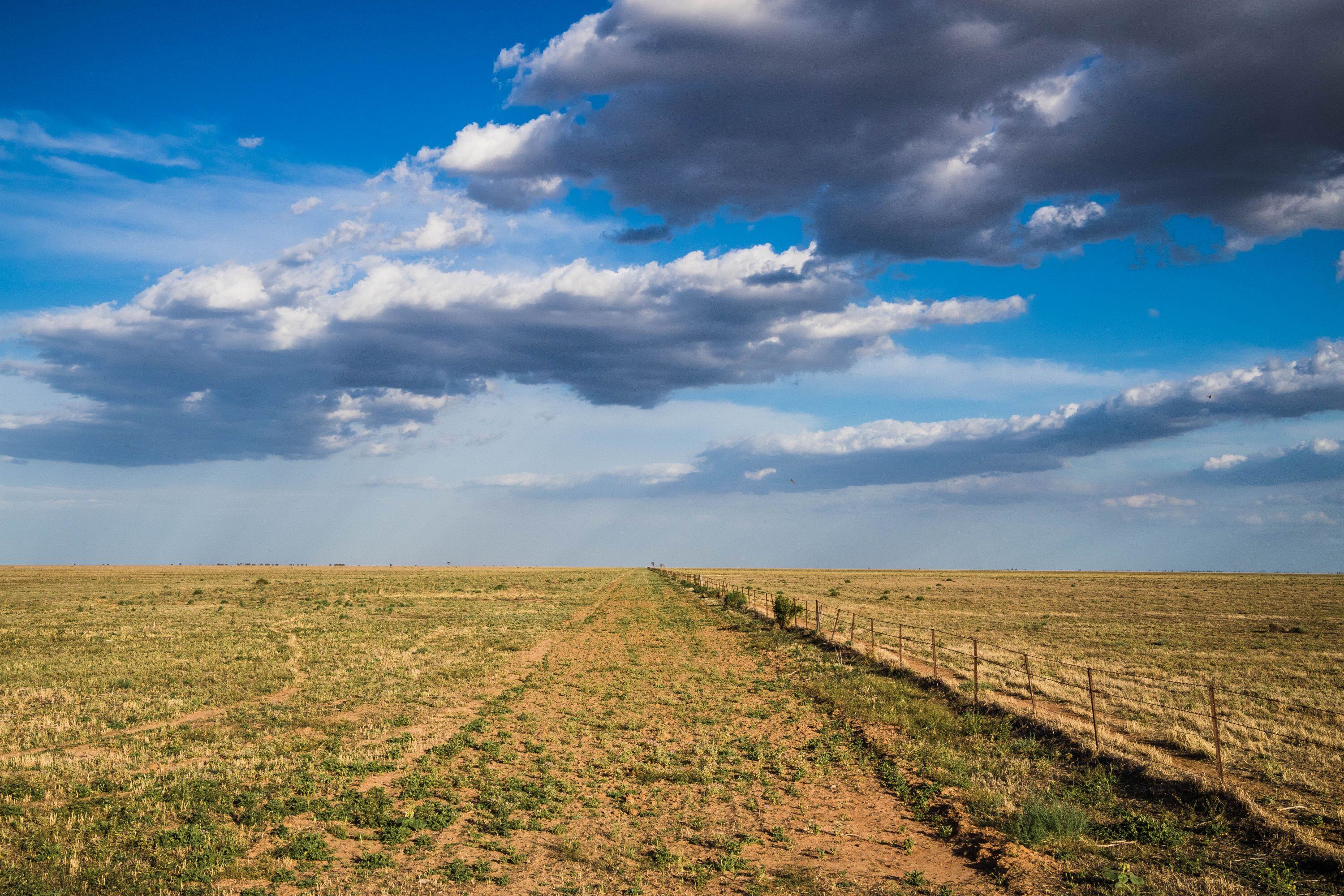 Mixed start to spring as BOM continues to forecast above average rainfall