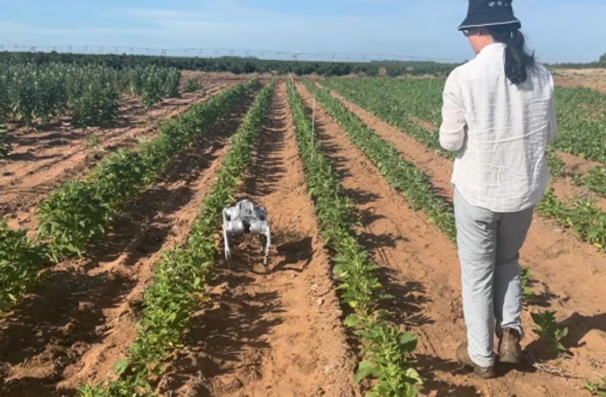 Here's a flapping brilliant way to collect data on your farm
