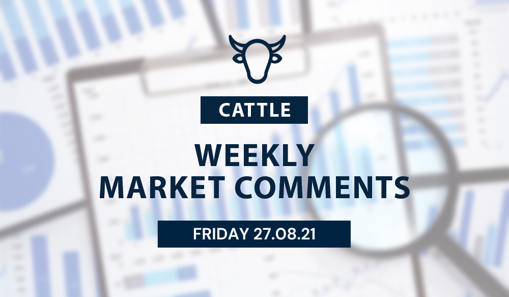 Weekly Cattle Comments - 27.08.21