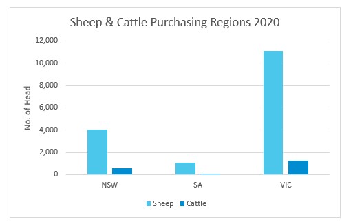 FY20 A Tale of Two Seasons