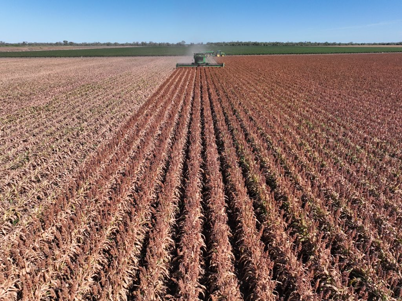 Property Roundup: 'District record’ set for irrigation property in north-west NSW