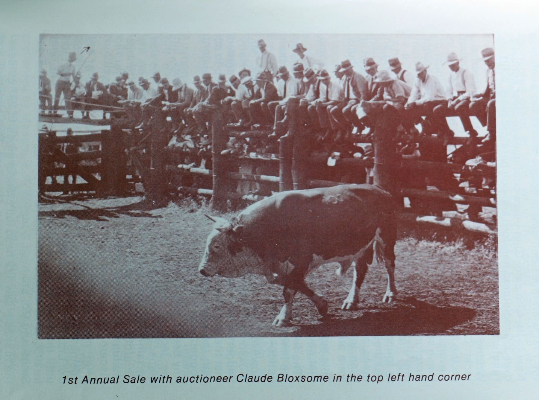 80 years, 80 sales: Roger Kneipp’s remarkable run at Glen Innes