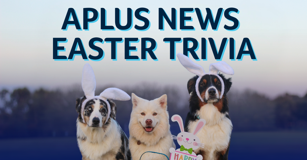 APLUS NEWS TRIVIA: Easter Special