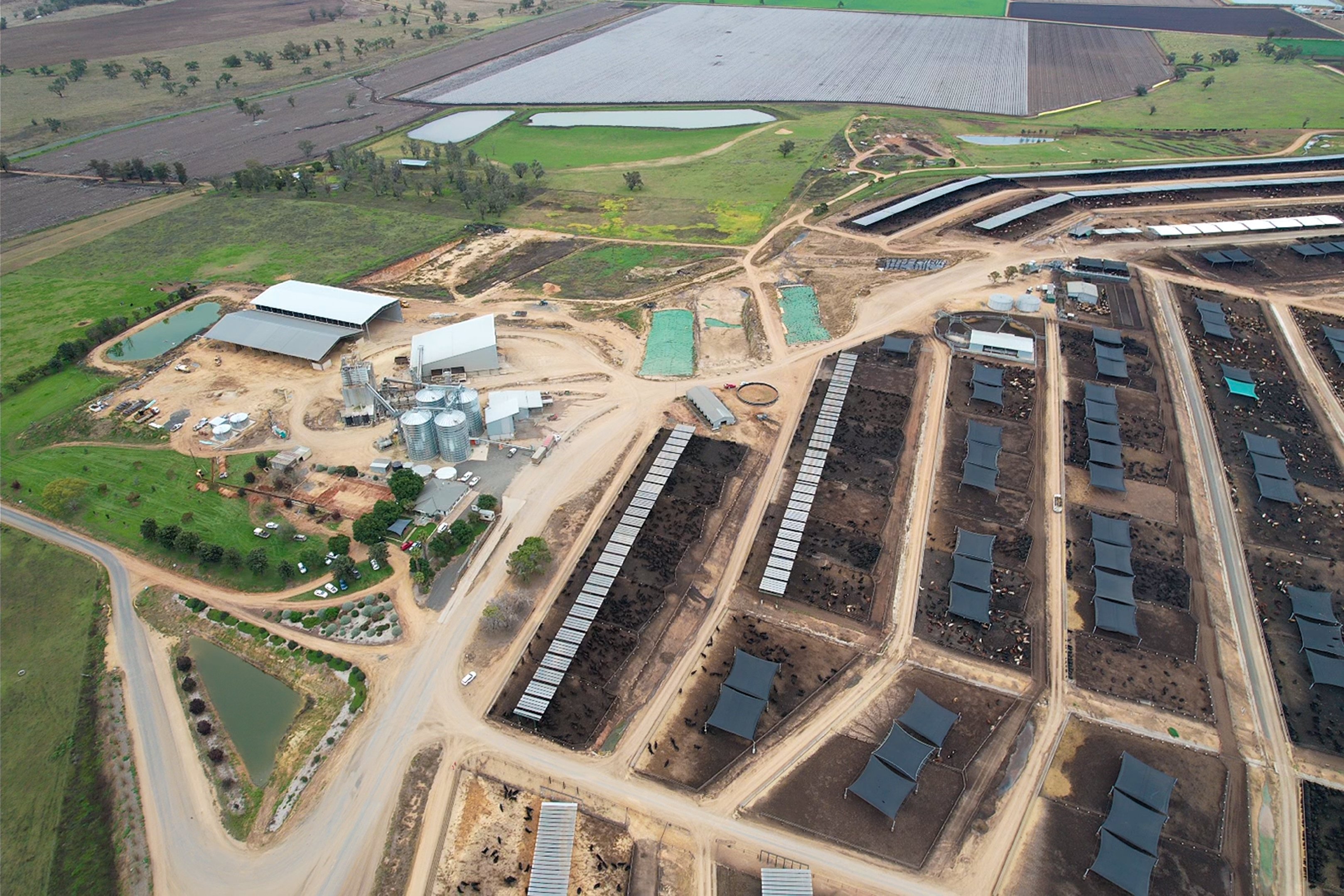 Elders to sell Killara Feedlot in $195.8 million deal to Australian Meat Group
