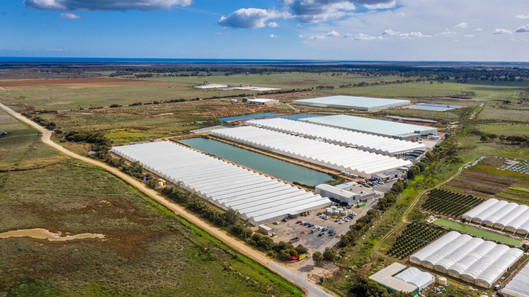 Property Roundup: CAF acquires $21.5 million greenhouse and glasshouse in SA