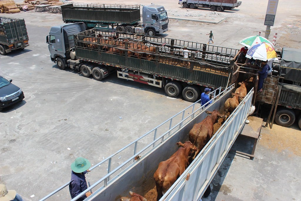 LSD detection 'no cause for concern', Indo trade remains open