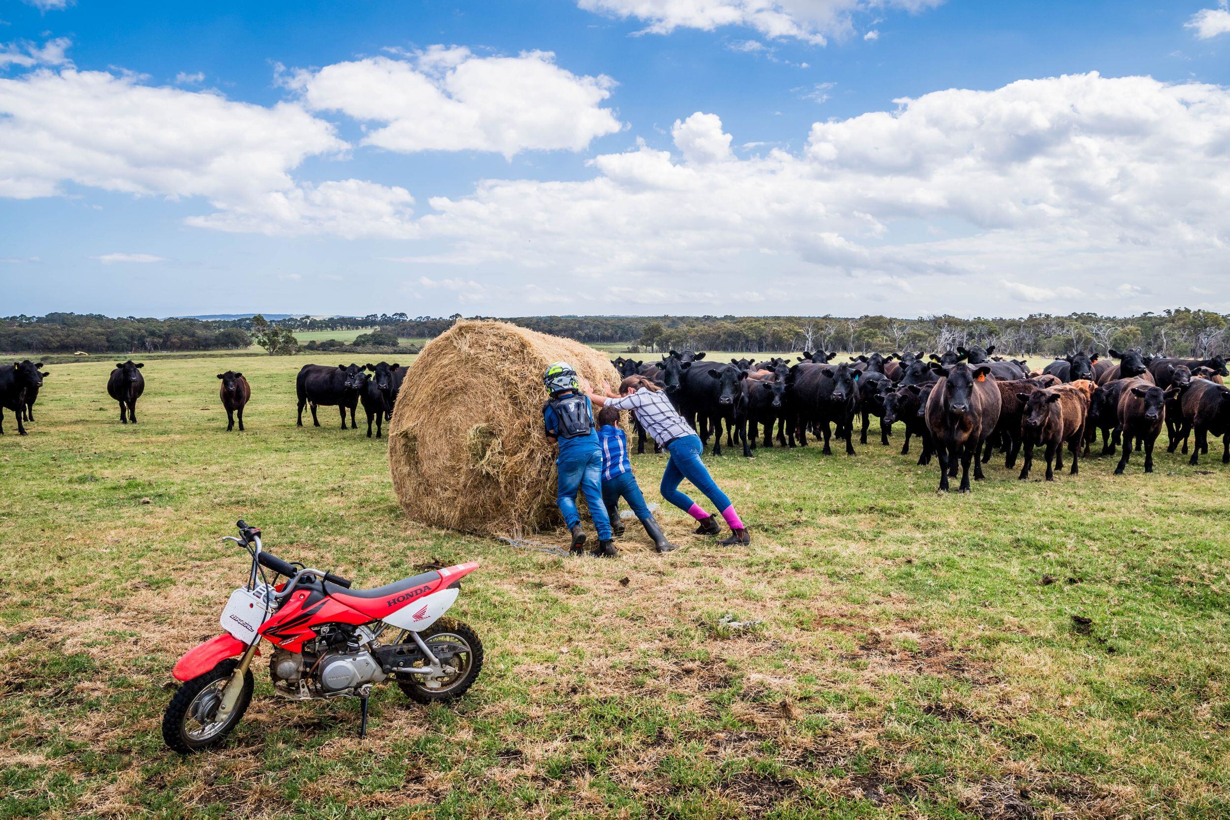 Producers navigate nation’s north-south weather divide