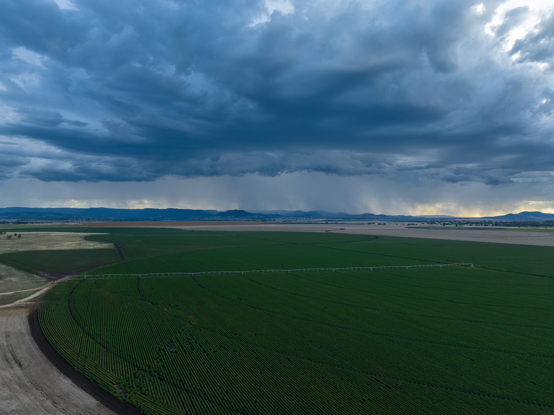 Did the BOM get it wrong on the hot, dry summer?