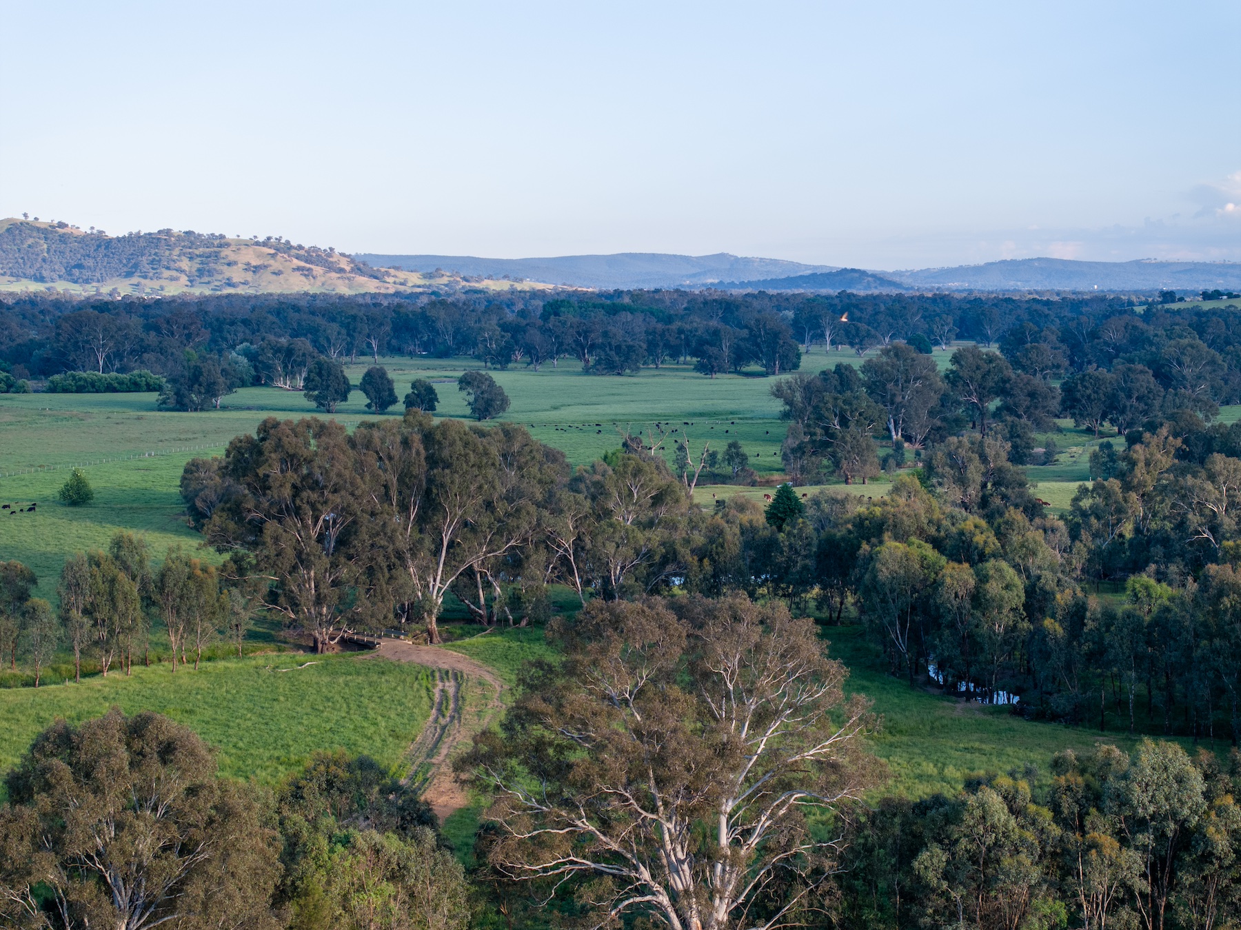 Australia’s advantage in the global carbon market