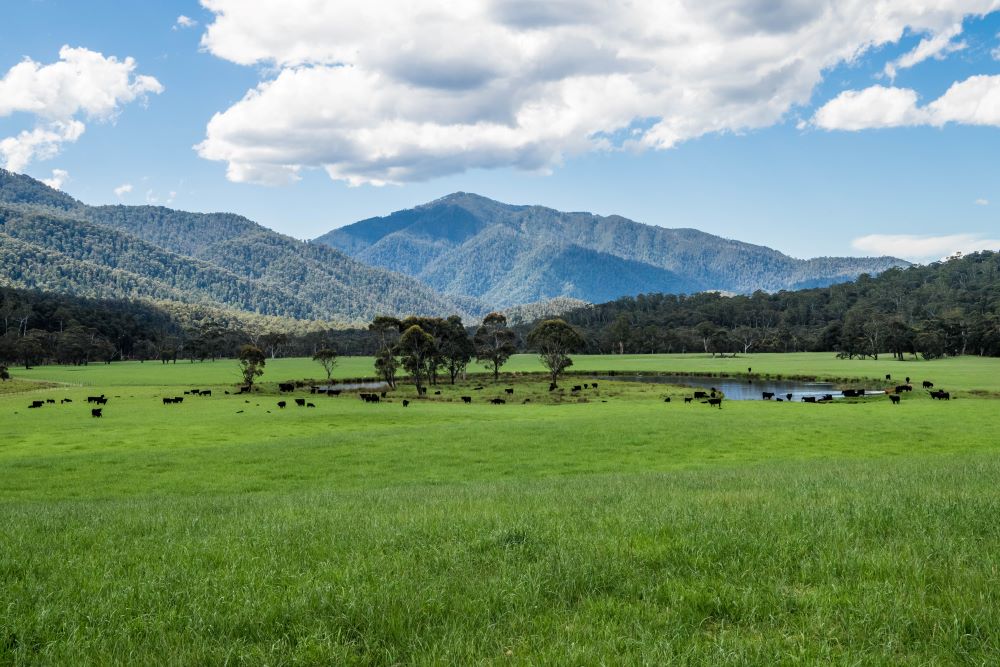 NFF welcomes details of emission funding revealed at ag summit