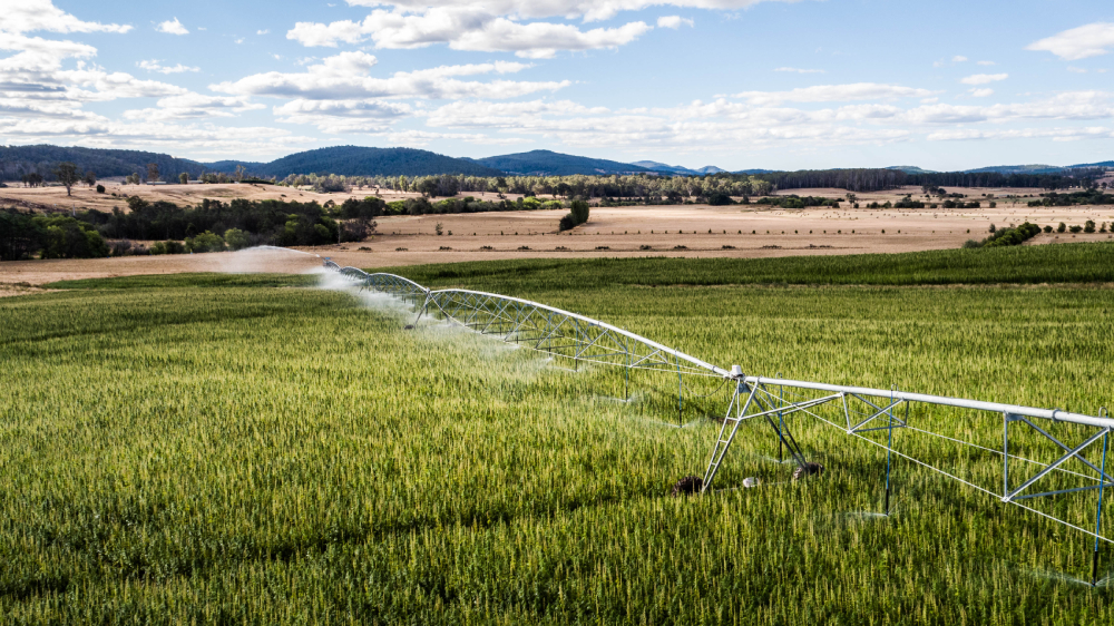 How to navigate tax rules and business structures