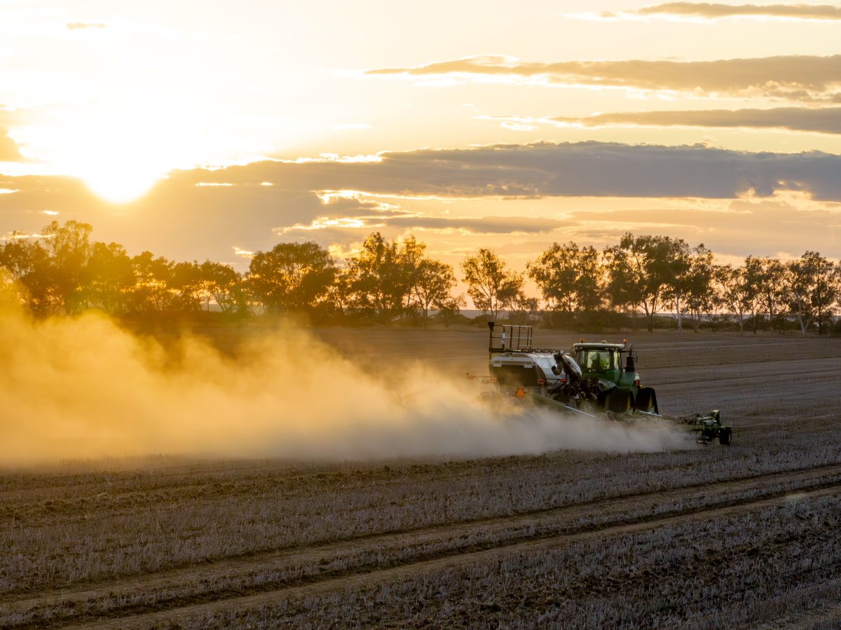 Winter crop outlook positive after mixed start to season