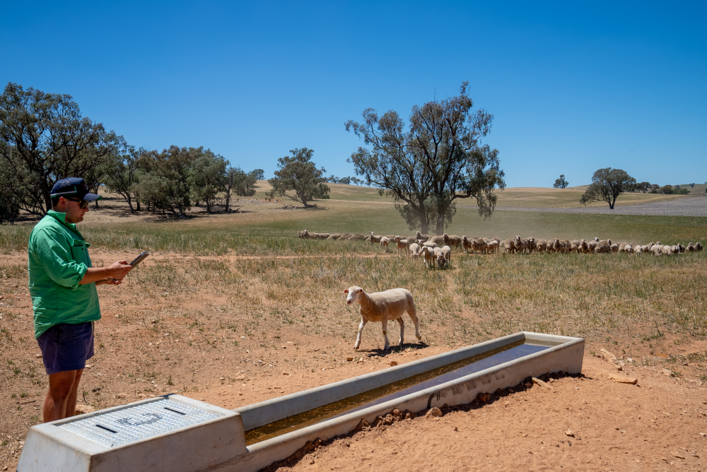 Understanding climate risks: A tool for farmers' future success