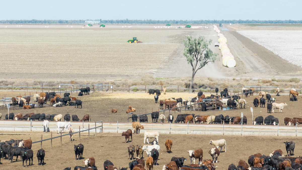 Australia ag commodity prices and the Australian dollar