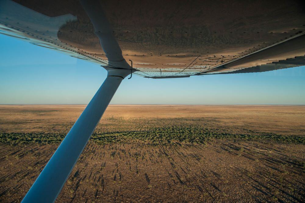 Green fuel cash injection prepares market for take-off