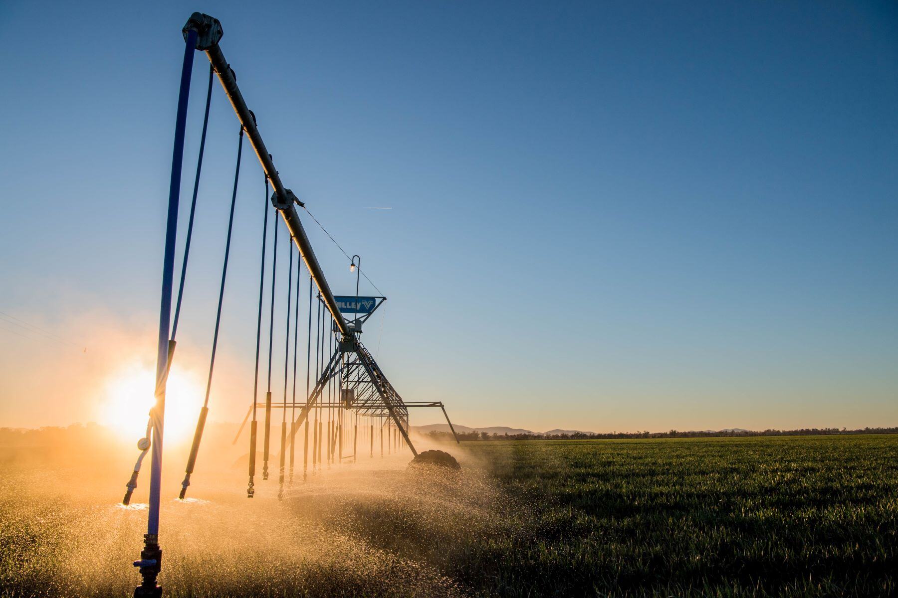 Regional communities brace for impact of water buybacks