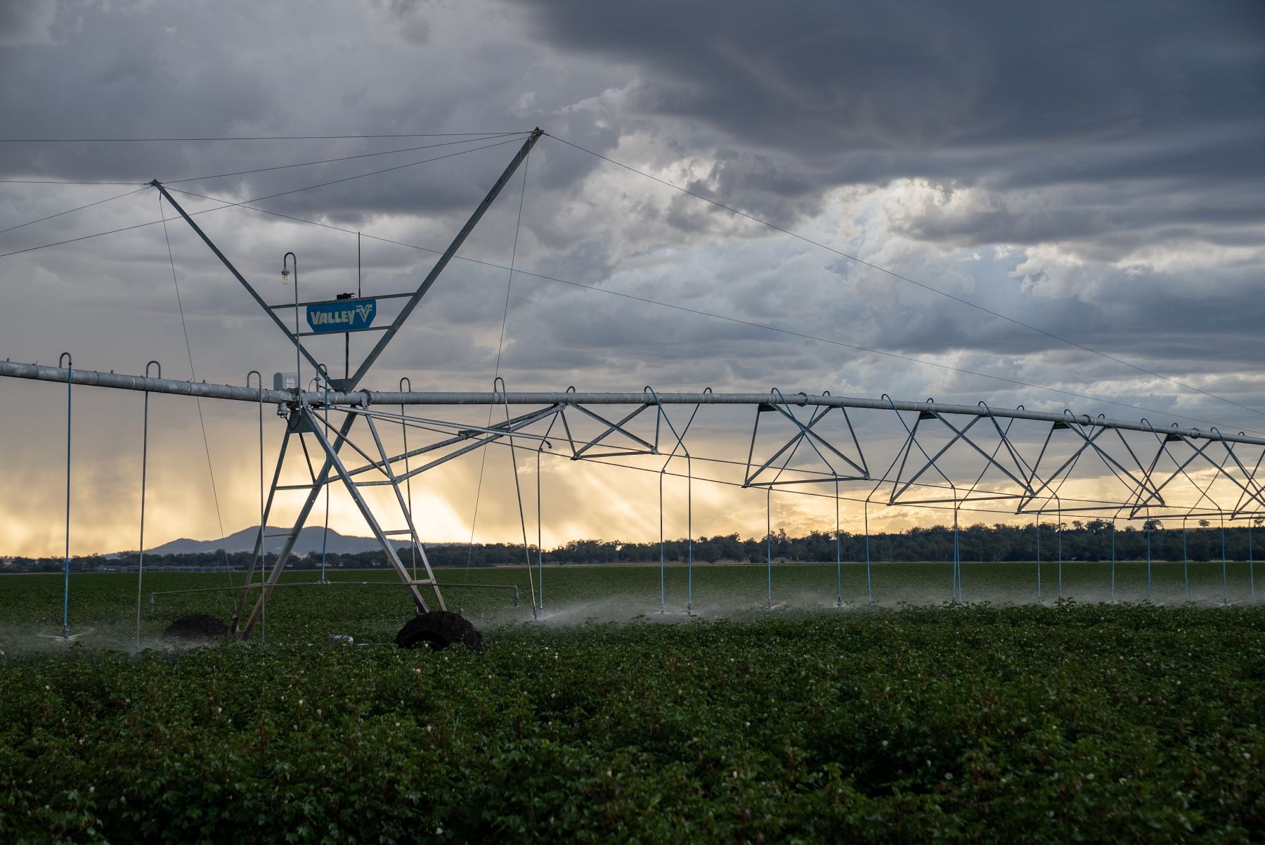 Have consultants muddied good water outcomes?