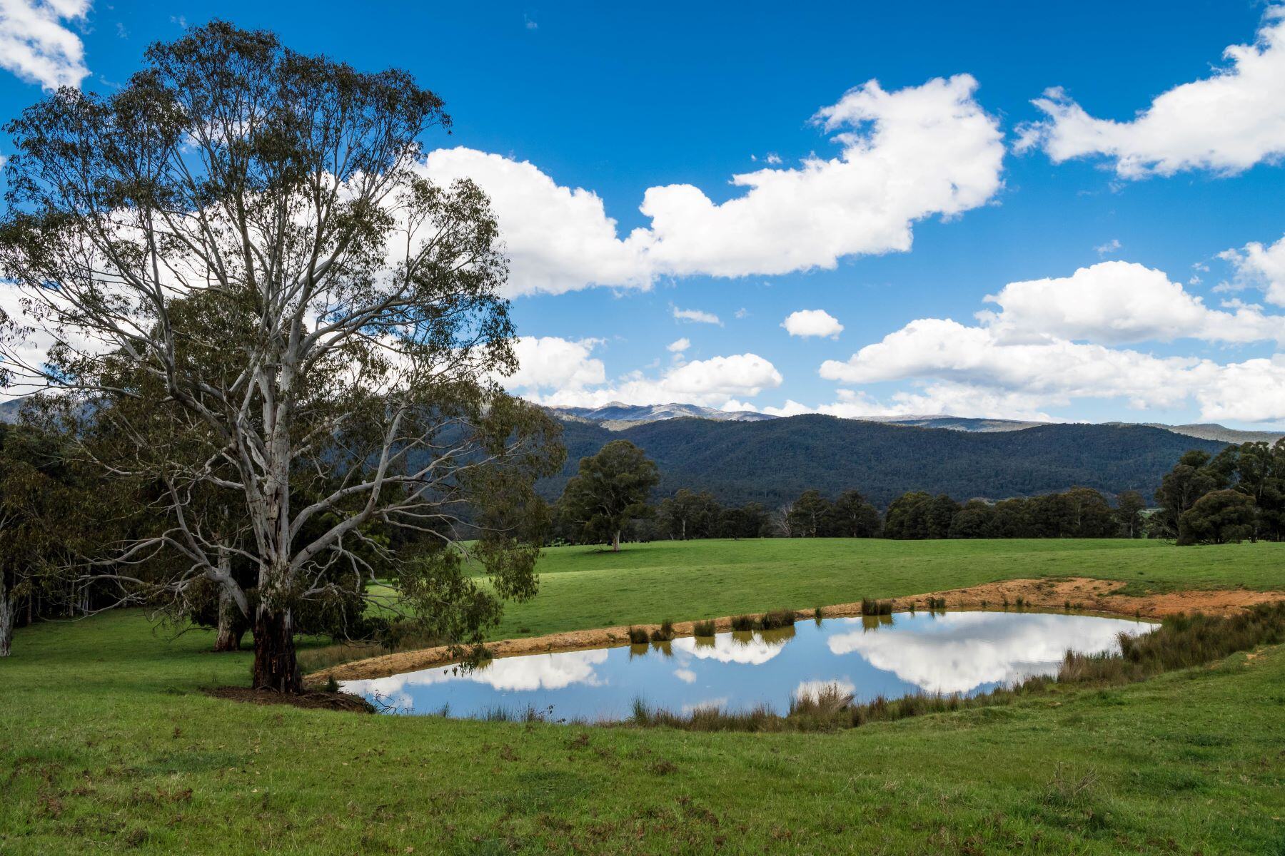 Mixed fortunes: Annual farmland prices rise despite sluggish market activity