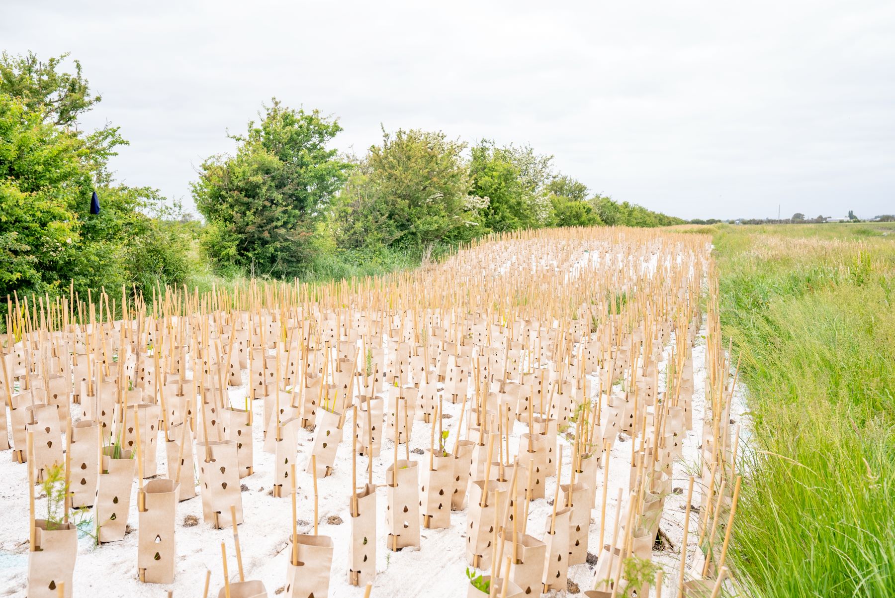 Funds available to support carbon and restoration projects