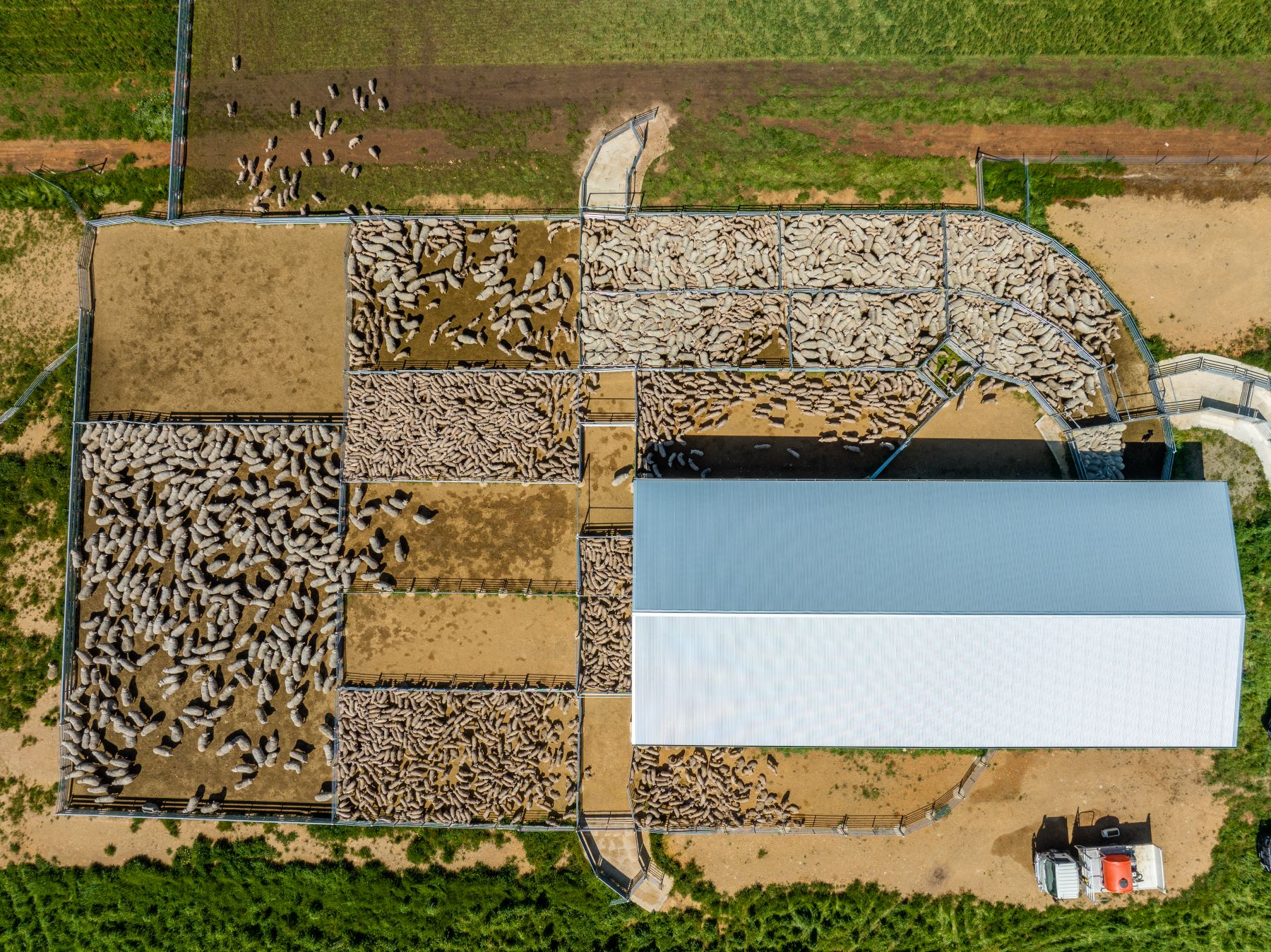 Lamb fair values for 2025 and beyond