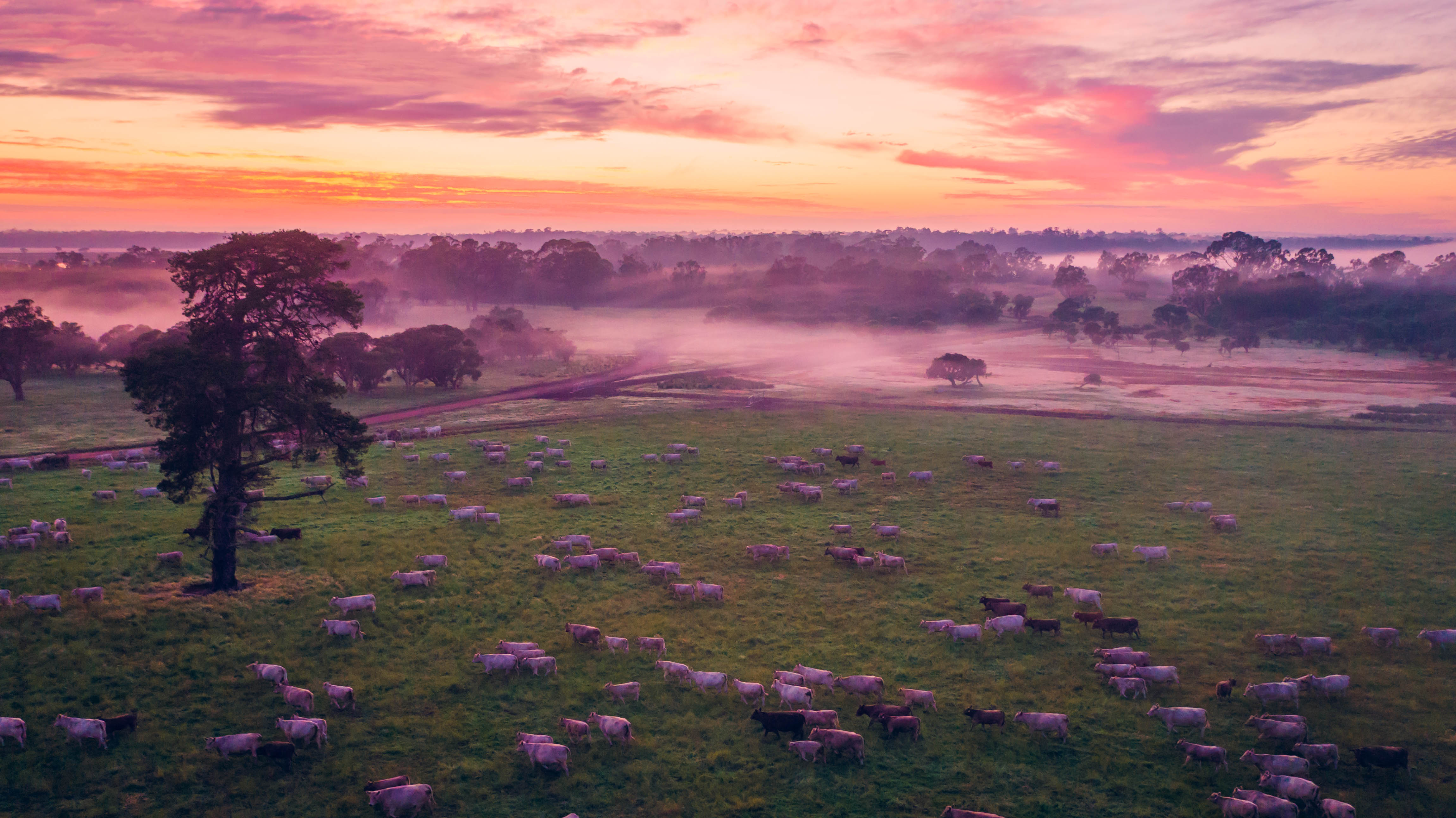 National rural property prices drop 2% despite rising transaction volume