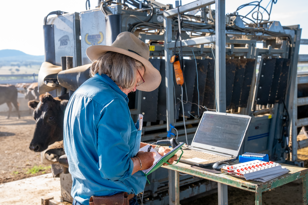 My wish list to improve the lives of Australia's rural women