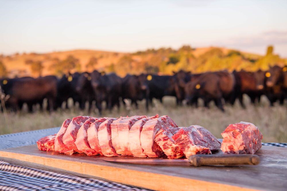 Australians urged to eat less red meat to decarbonise faster