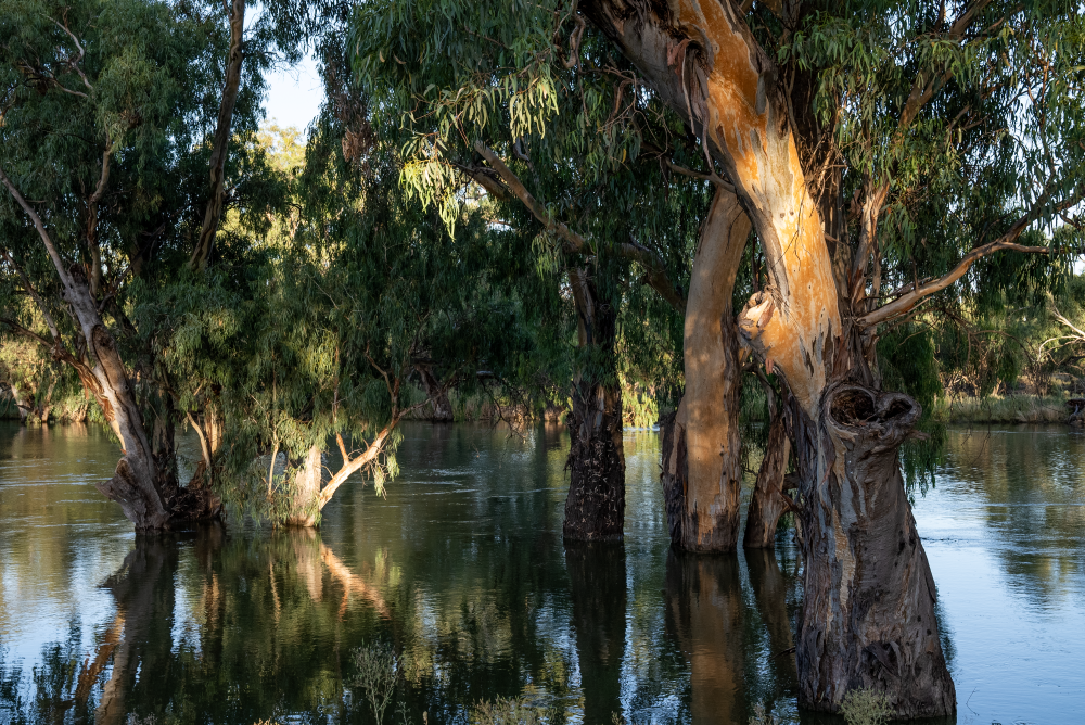 Rural property market steadies as floods, tariffs and seasonal shifts reshape 2025 outlook