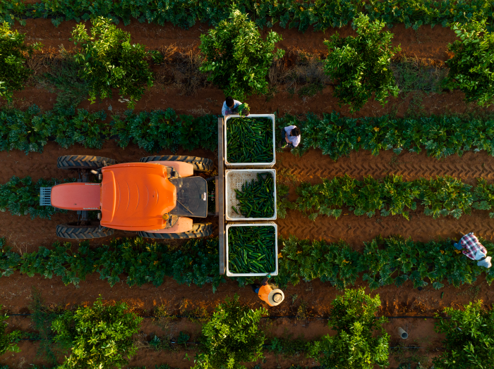 Skills shortage poses threat to food security