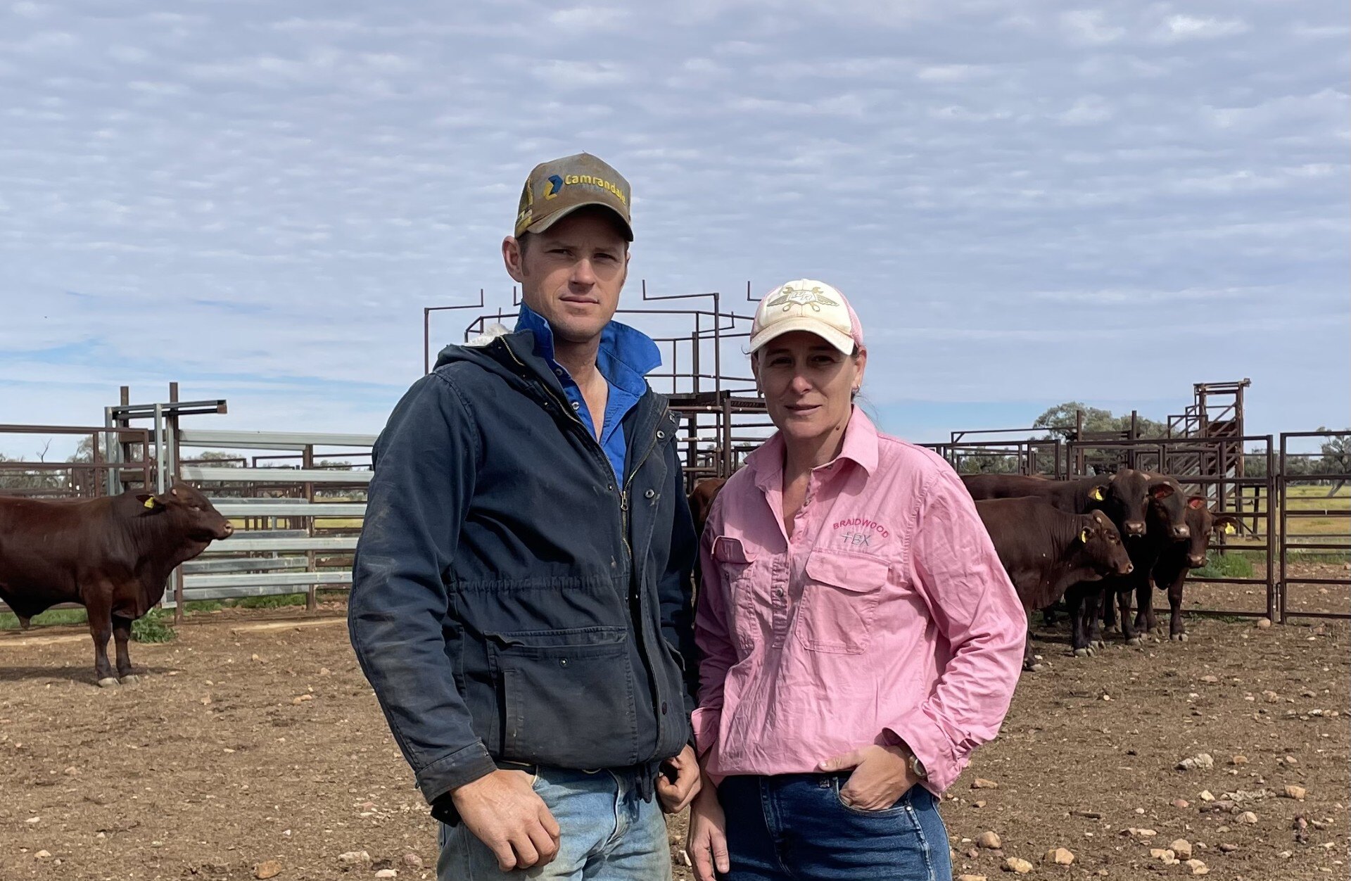 Mastering the art of beef cattle trading: Overcoming challenges with Herd XL