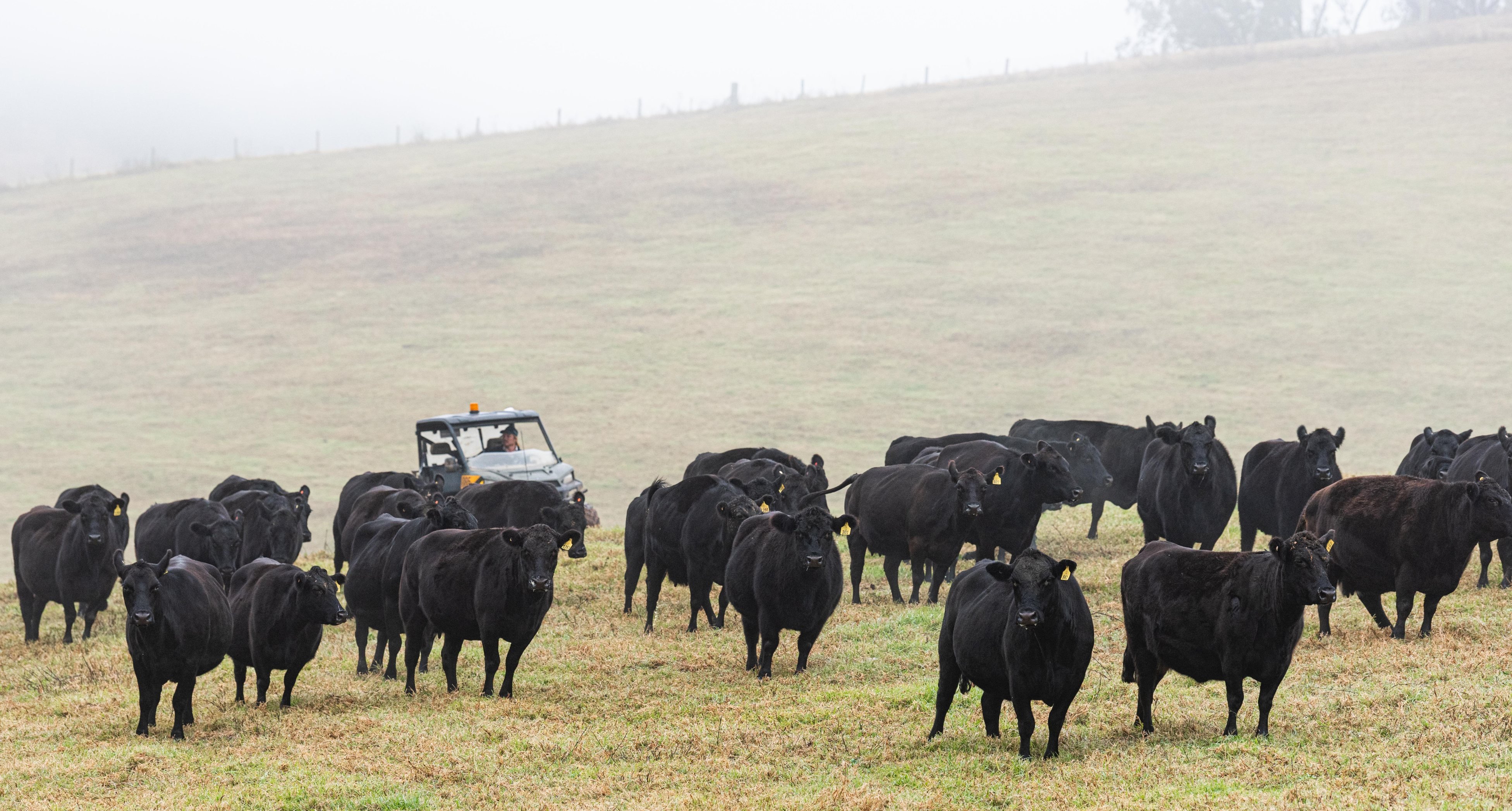 Attracting and retaining staff, as govt makes a ‘shambles’ of the workforce