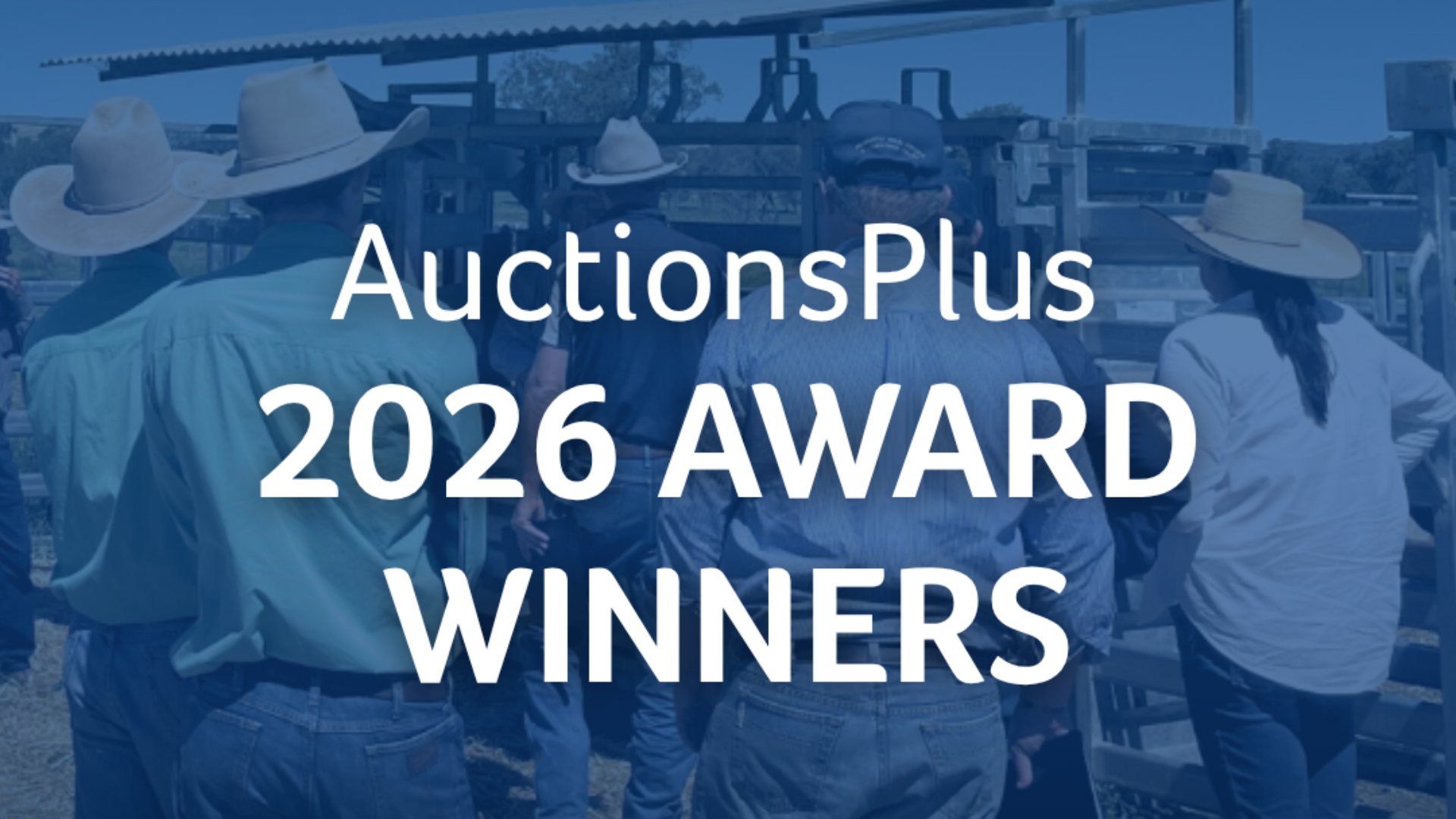 AuctionsPlus recognises top performing assessors and agencies