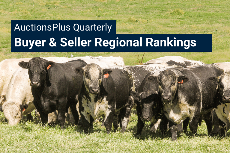 Cattle: Buyer and Seller Regional Rankings