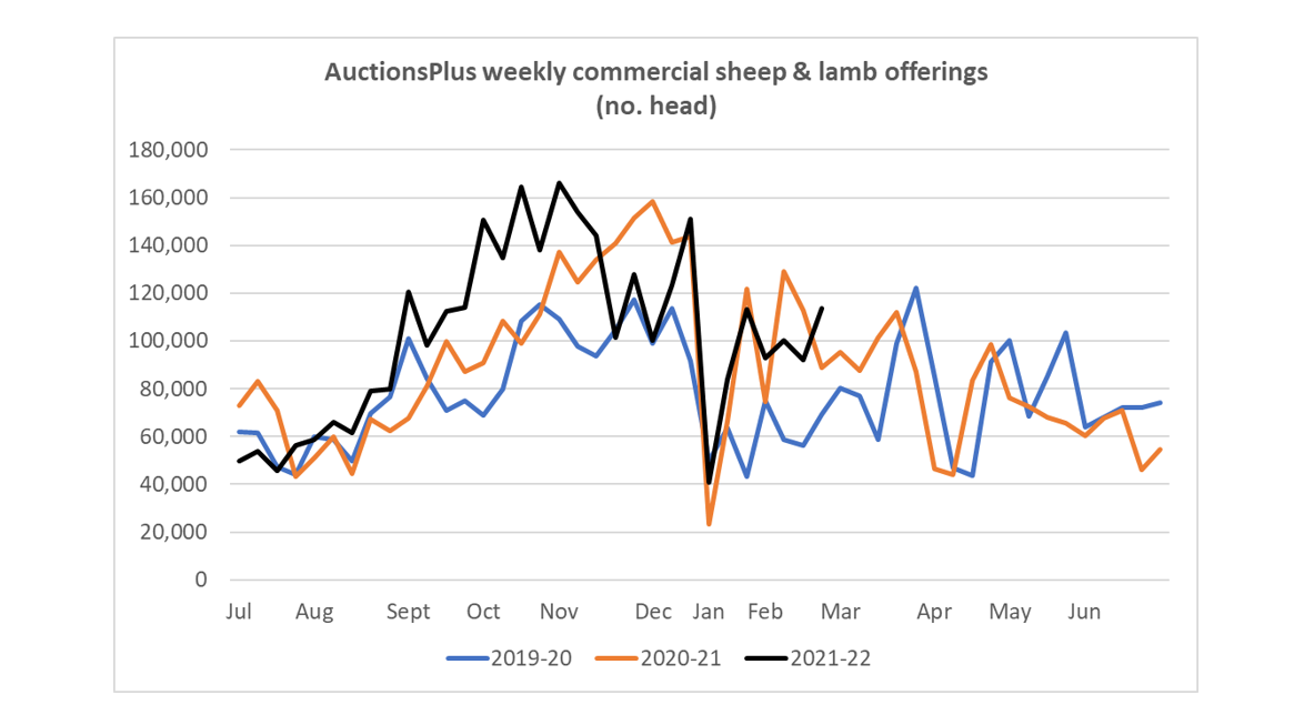 Weekly Sheep & Lamb Comments - Week ending Friday 18th Feb 2022