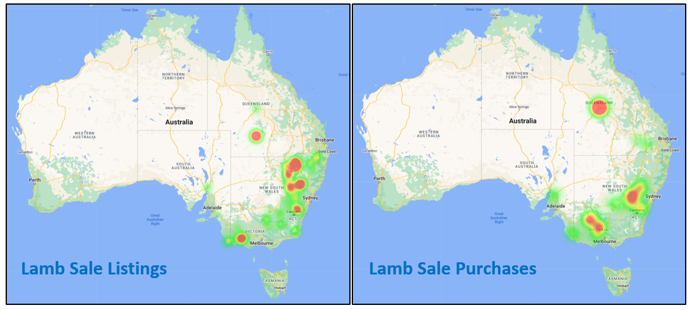 Weekly Sheep & Lamb Comments - Week ending Friday 8th July 2022
