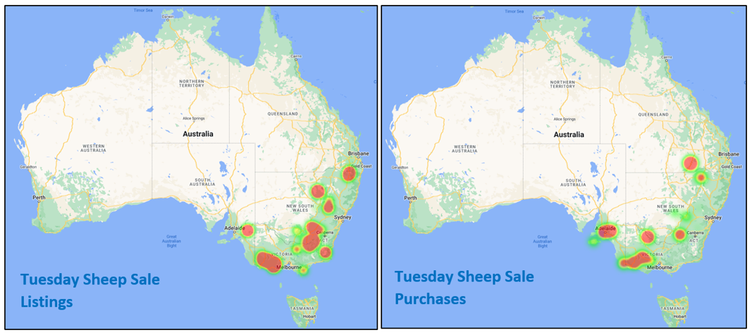 Weekly Sheep & Lamb Comments - Week ending Friday 15th July 2022