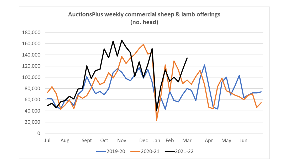 Weekly Sheep & Lamb Comments - Week ending Friday 25th Feb 2022