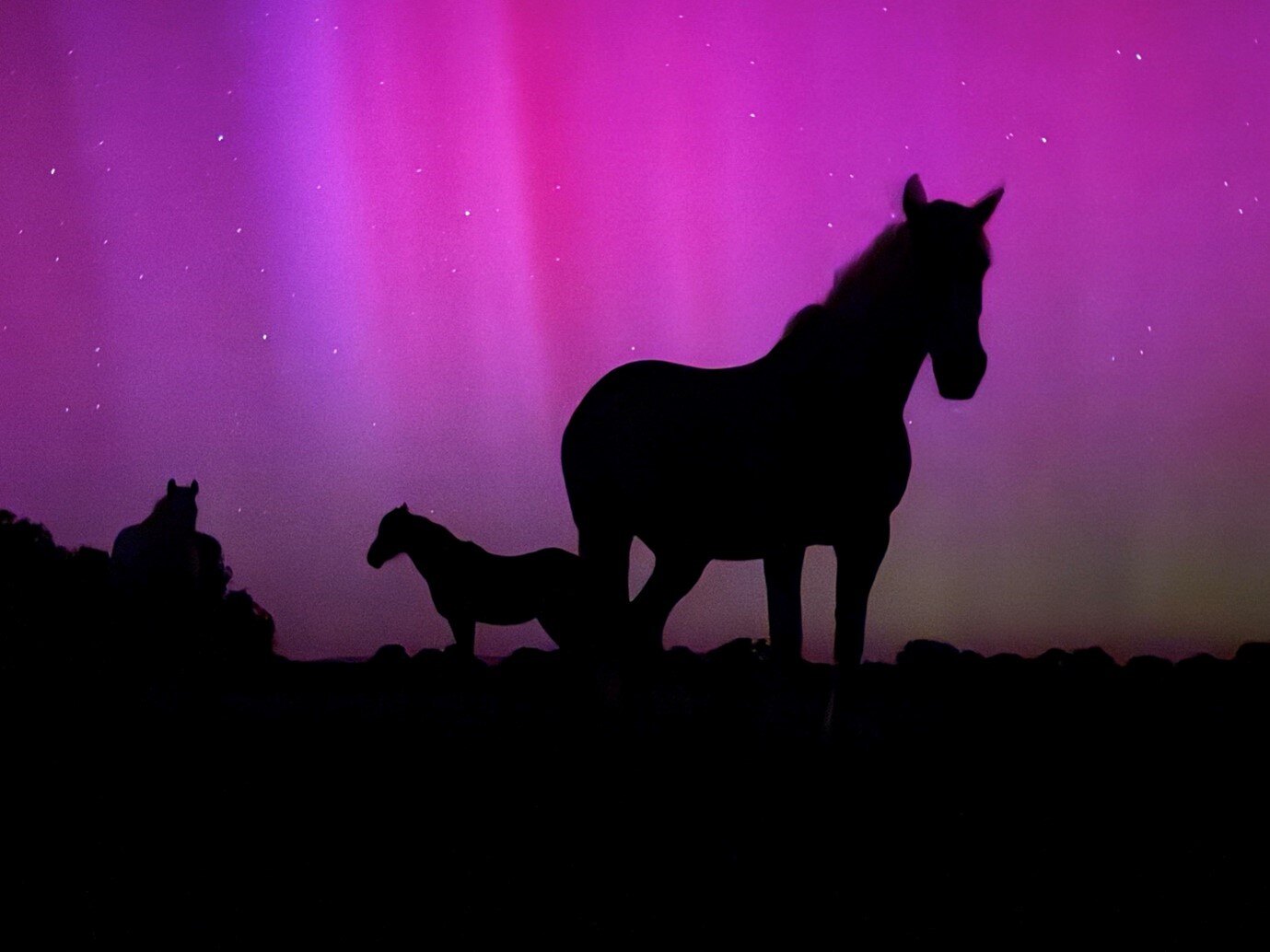 Aurora Australis: What’s the ‘go’ with the pink sky light show?