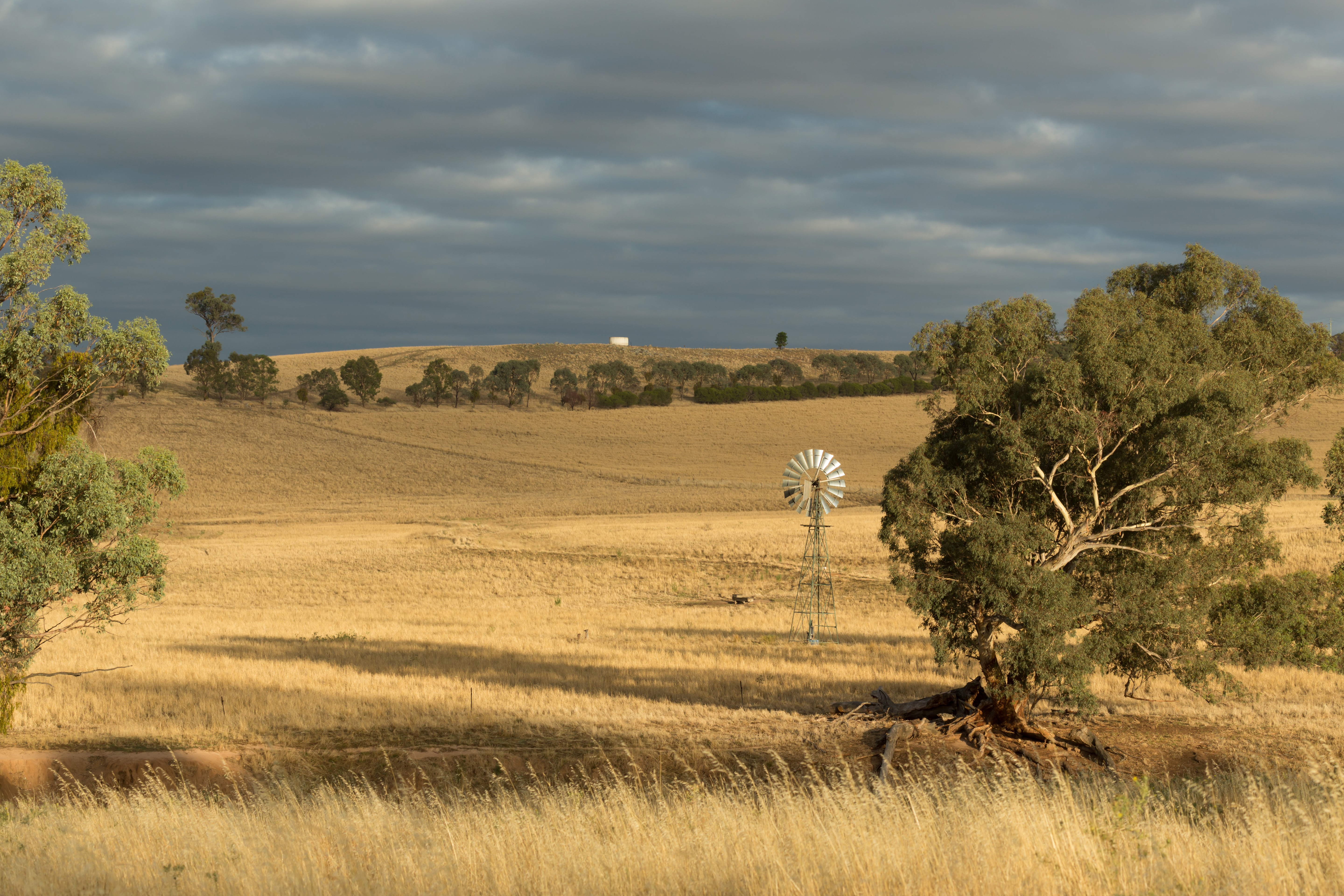 Rural property prices hold steady as volume dries up