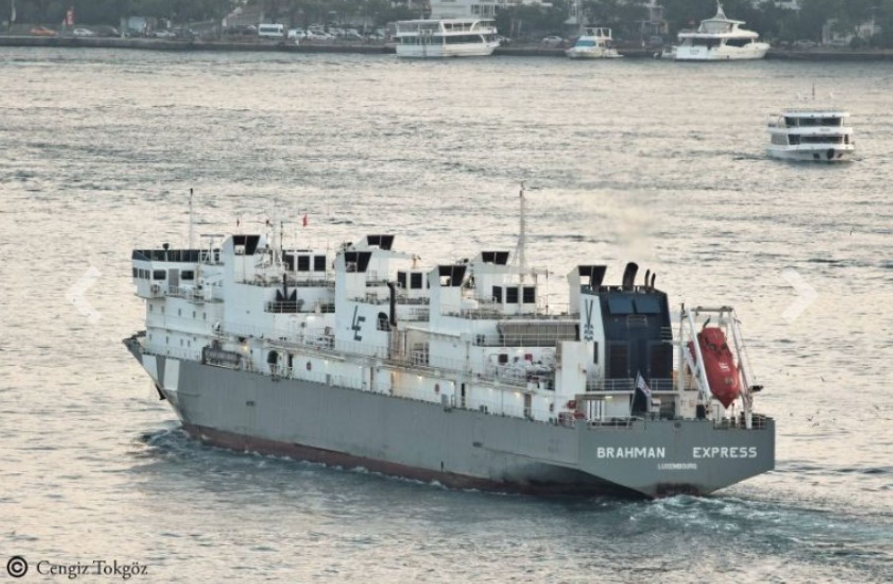 Indonesia suspends live exports from 'particular establishment'