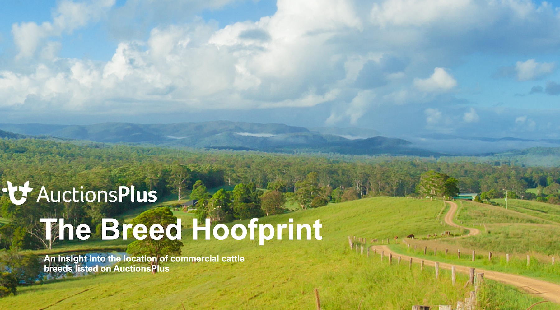 The AuctionsPlus 2023 Breed Hoofprint