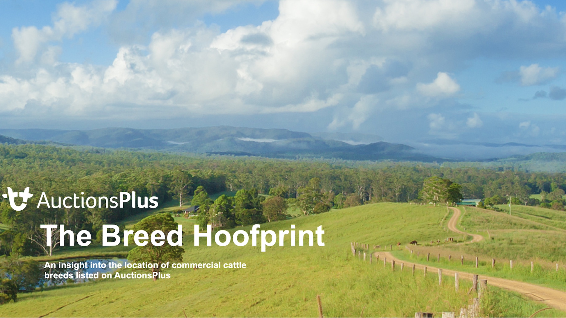 2024 Q1 Breed Hoofprint