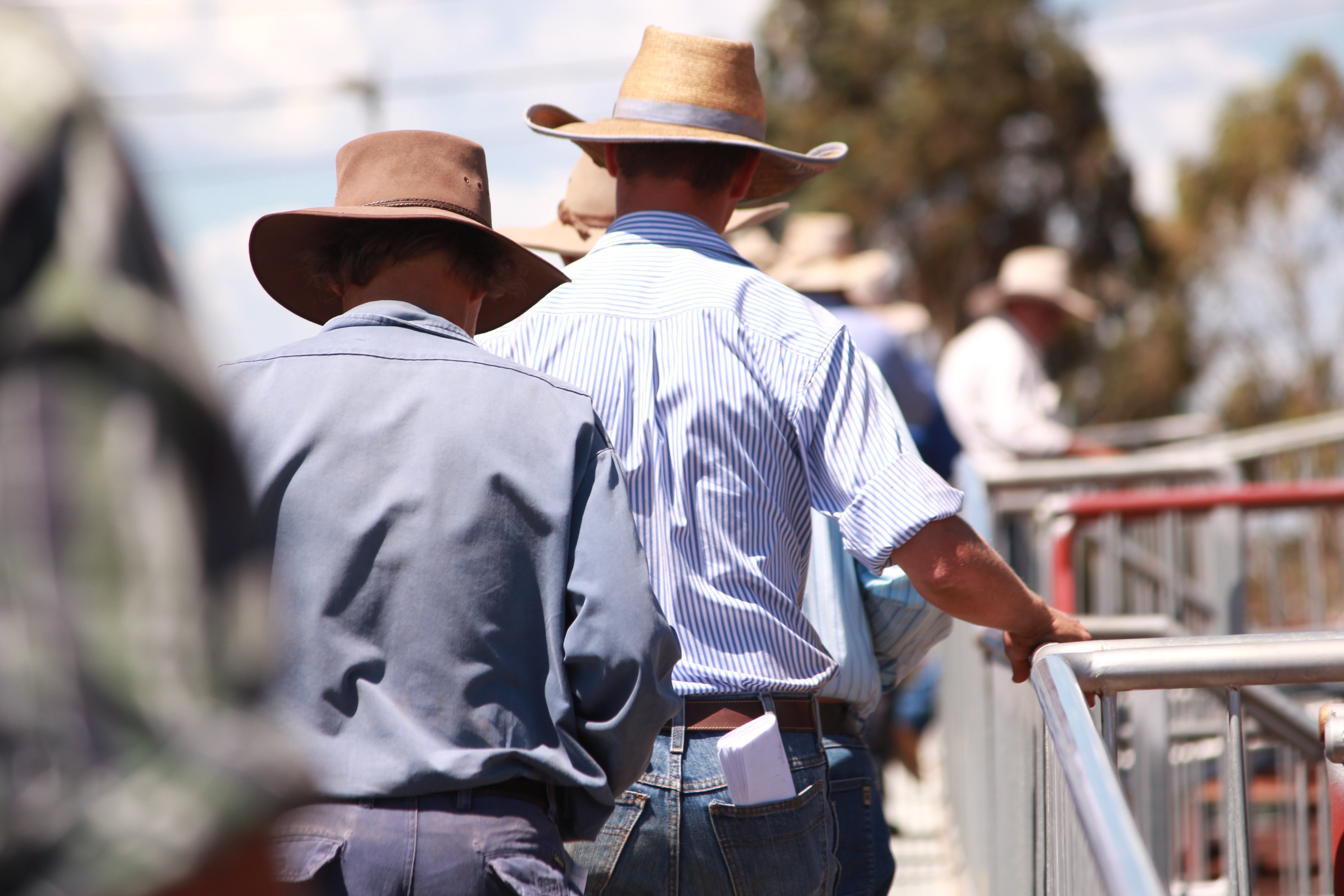 Top AuctionsPlus assessors named