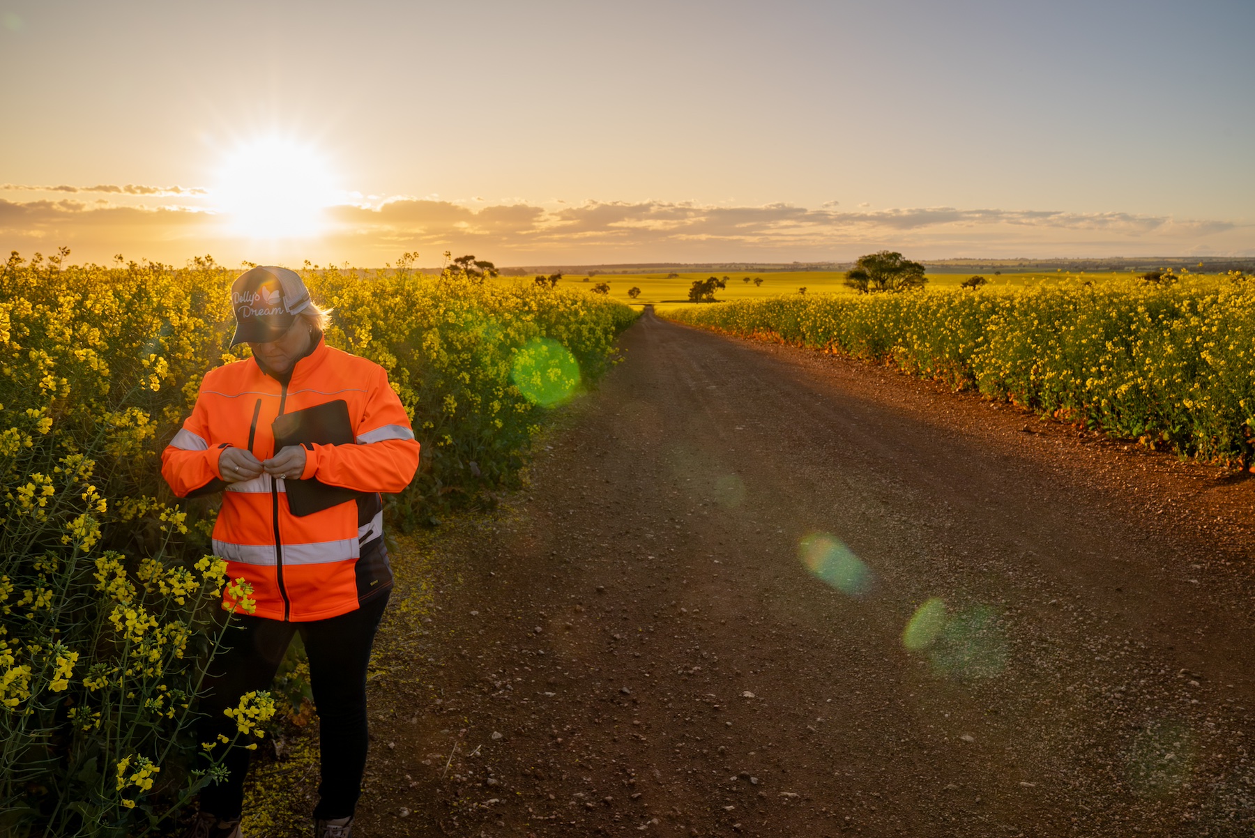 Farmer confidence rebounds on recent rainfall