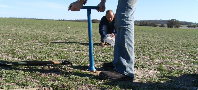 Government seeks new carbon credit ideas