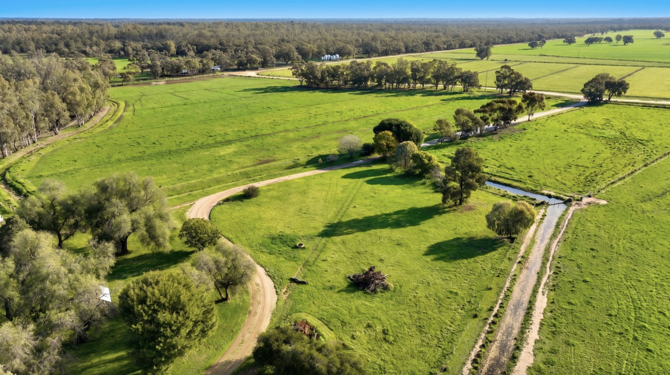 High-tech Angus breeding operation hits the market