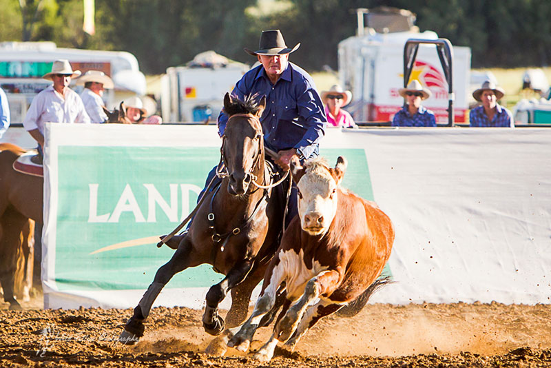 On the seventh day of Christmas: Hazelwood Conman tops charity auction