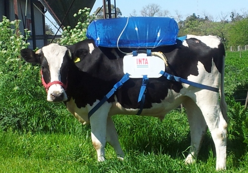 The UN food agency's roadmap to reduced livestock emissisons